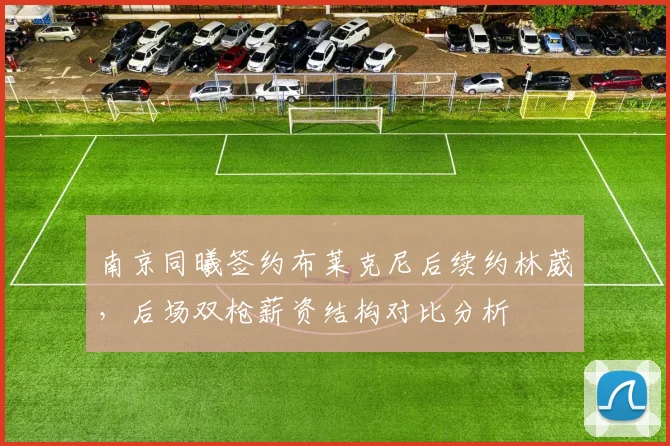南京同曦签约布莱克尼后续约林葳,后场双枪薪资结构对比分析